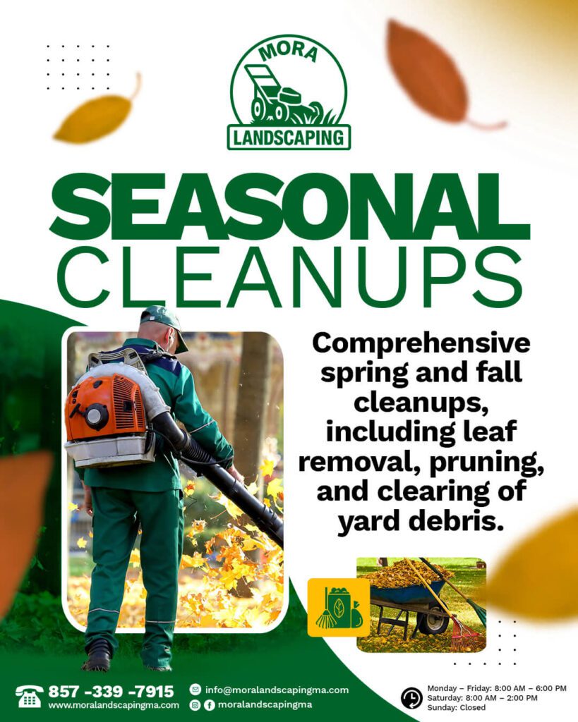 Mora Landscaping Beautiful Yards, Beautiful Lawns, All Seasons Long.