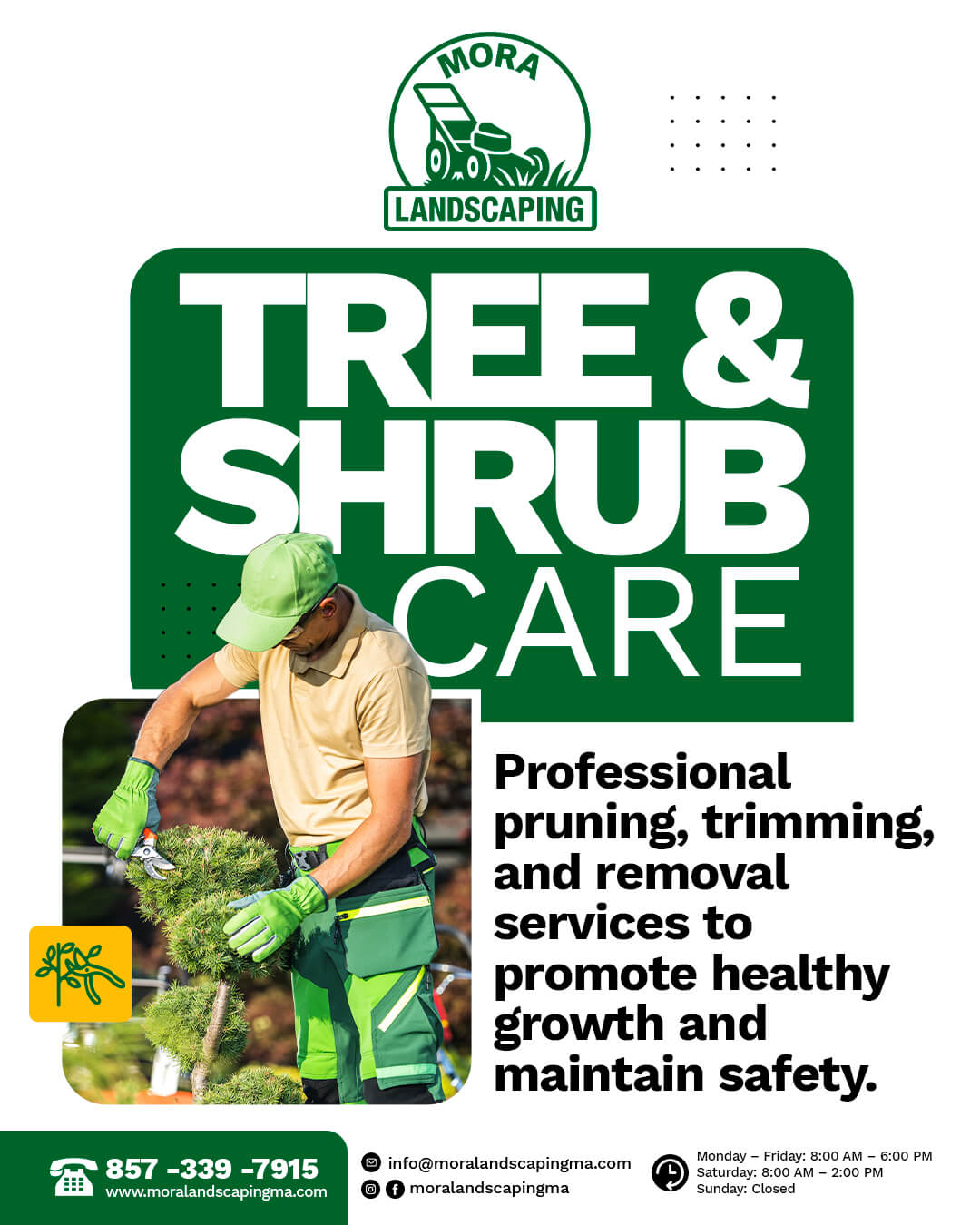 Mora Landscaping Beautiful Yards, Beautiful Lawns, All Seasons Long.
