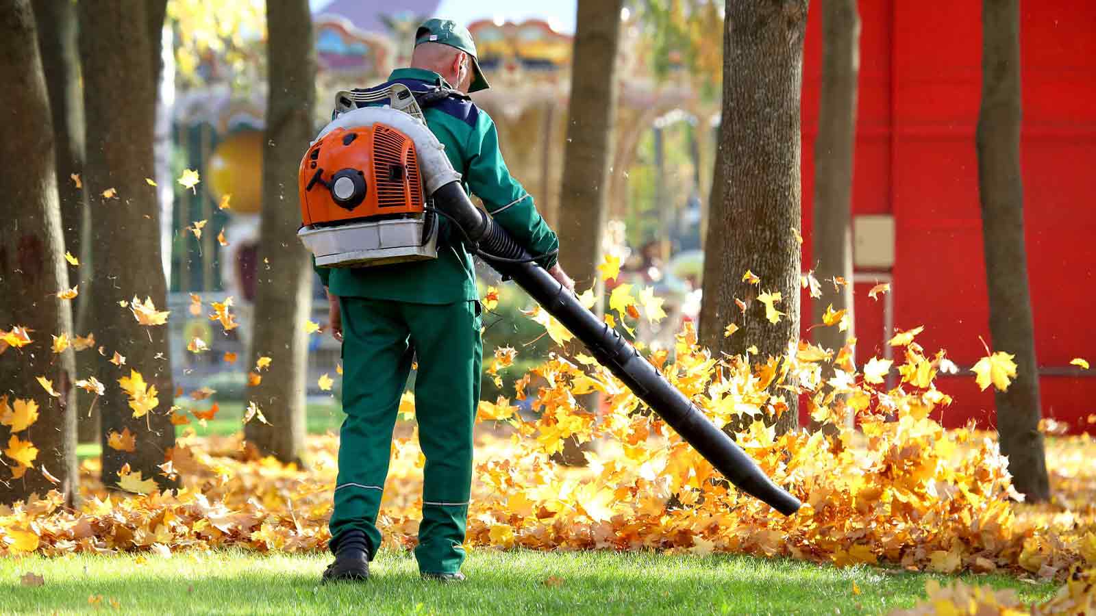 Mora Landscaping - Beautiful Yards, Beautiful Lawns, All Seasons Long - 857 -339 -7915