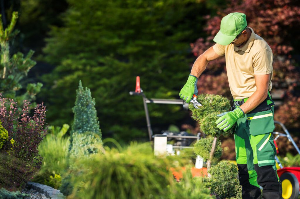 Mora Landscaping Beautiful Yards, Beautiful Lawns, All Seasons Long.